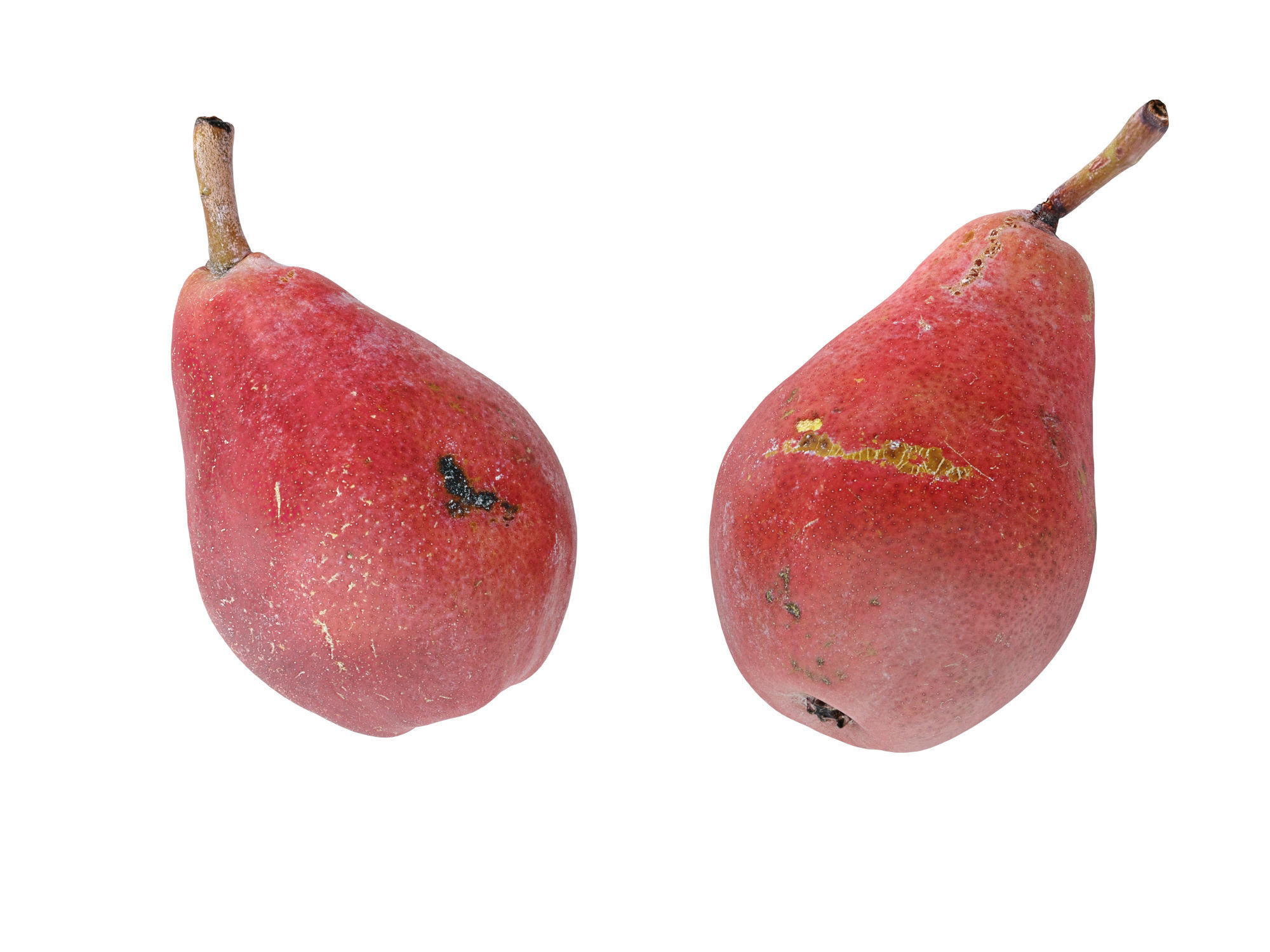 Pears Red 3D model_9