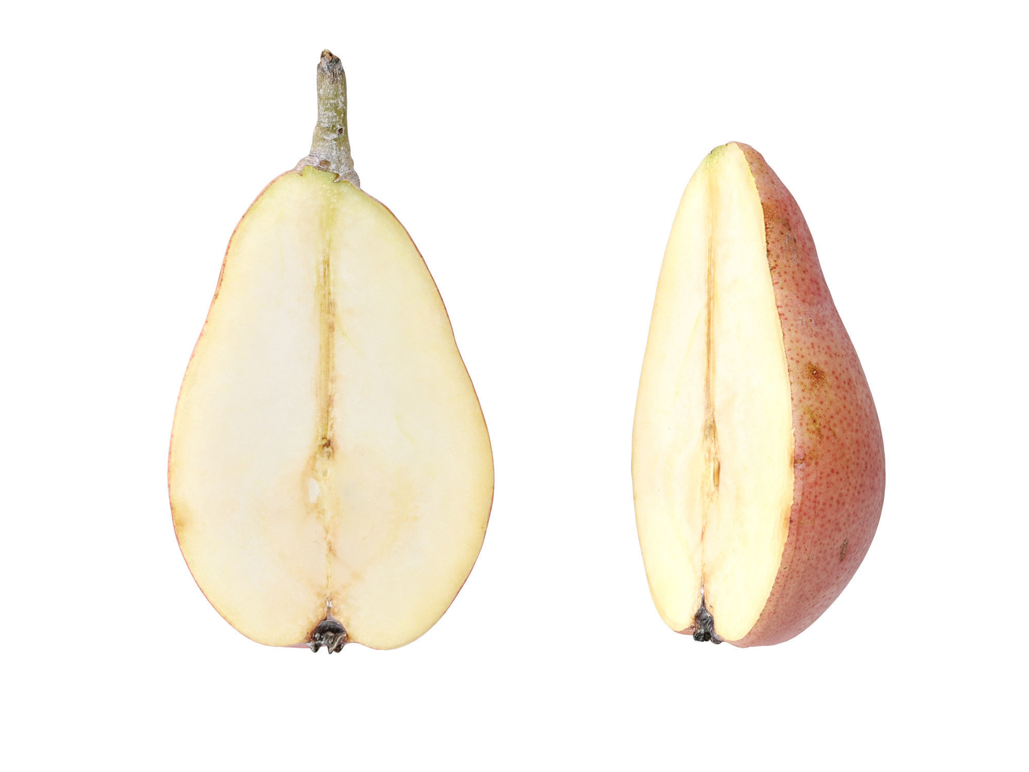 Pears Red 3D model_6