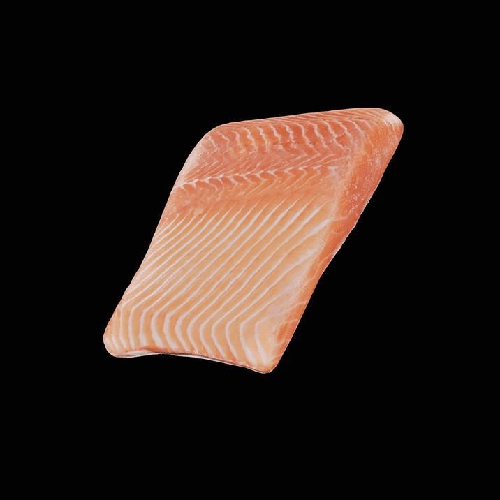 Fish 1 3D model_4