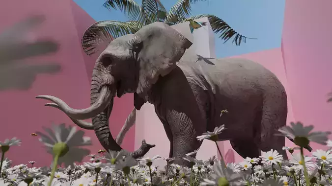 Elephant Scenes Blender