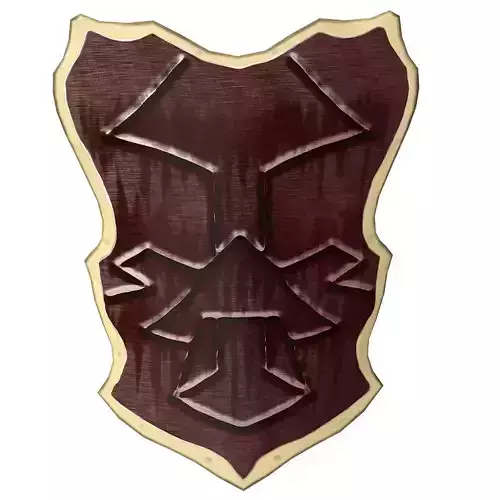 Warrior s Shield