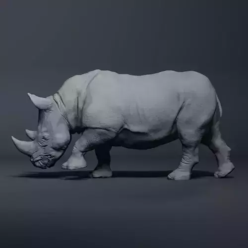 Realistic Rhinoceros High-poly 