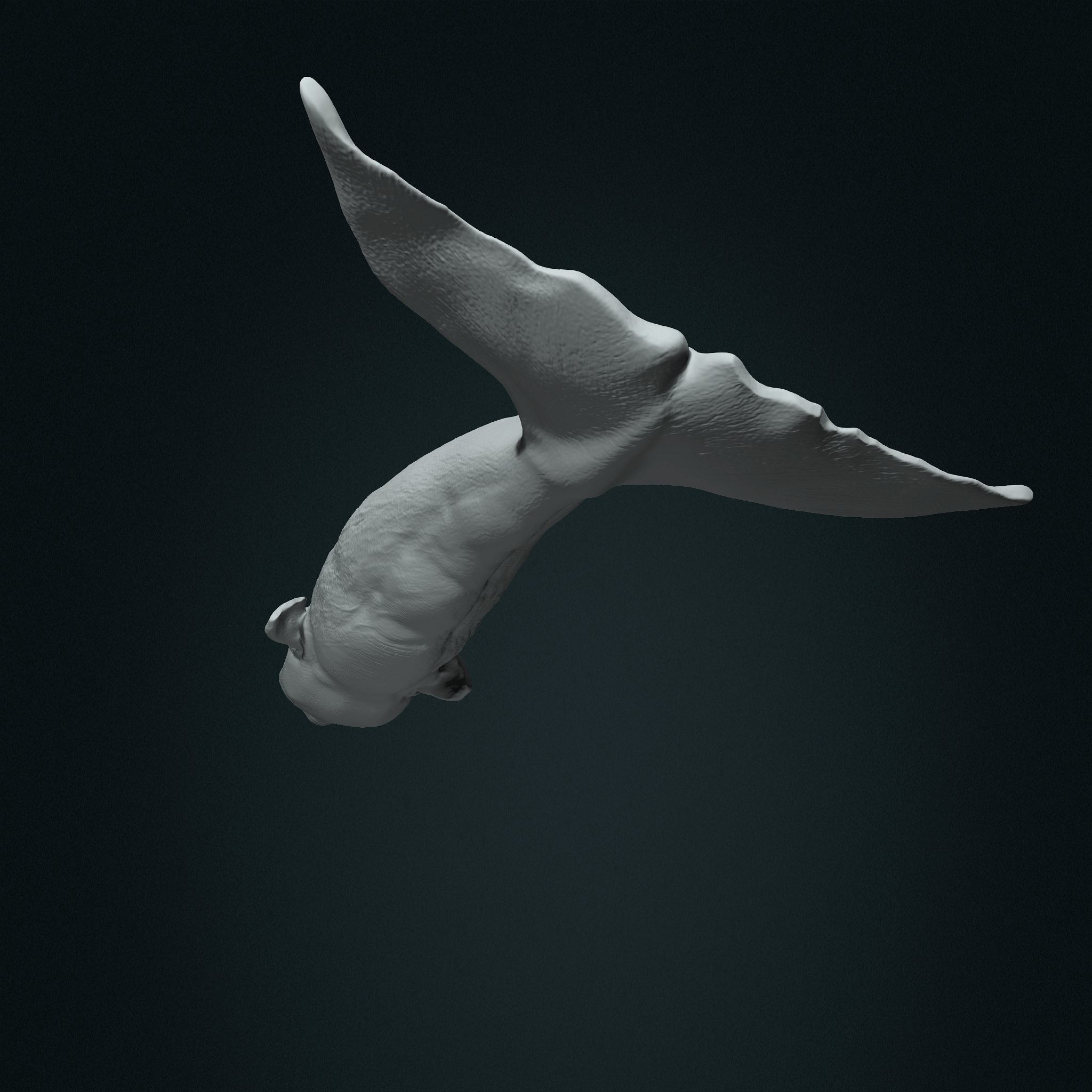Realistic Sperm Whale High-poly  3D model_1
