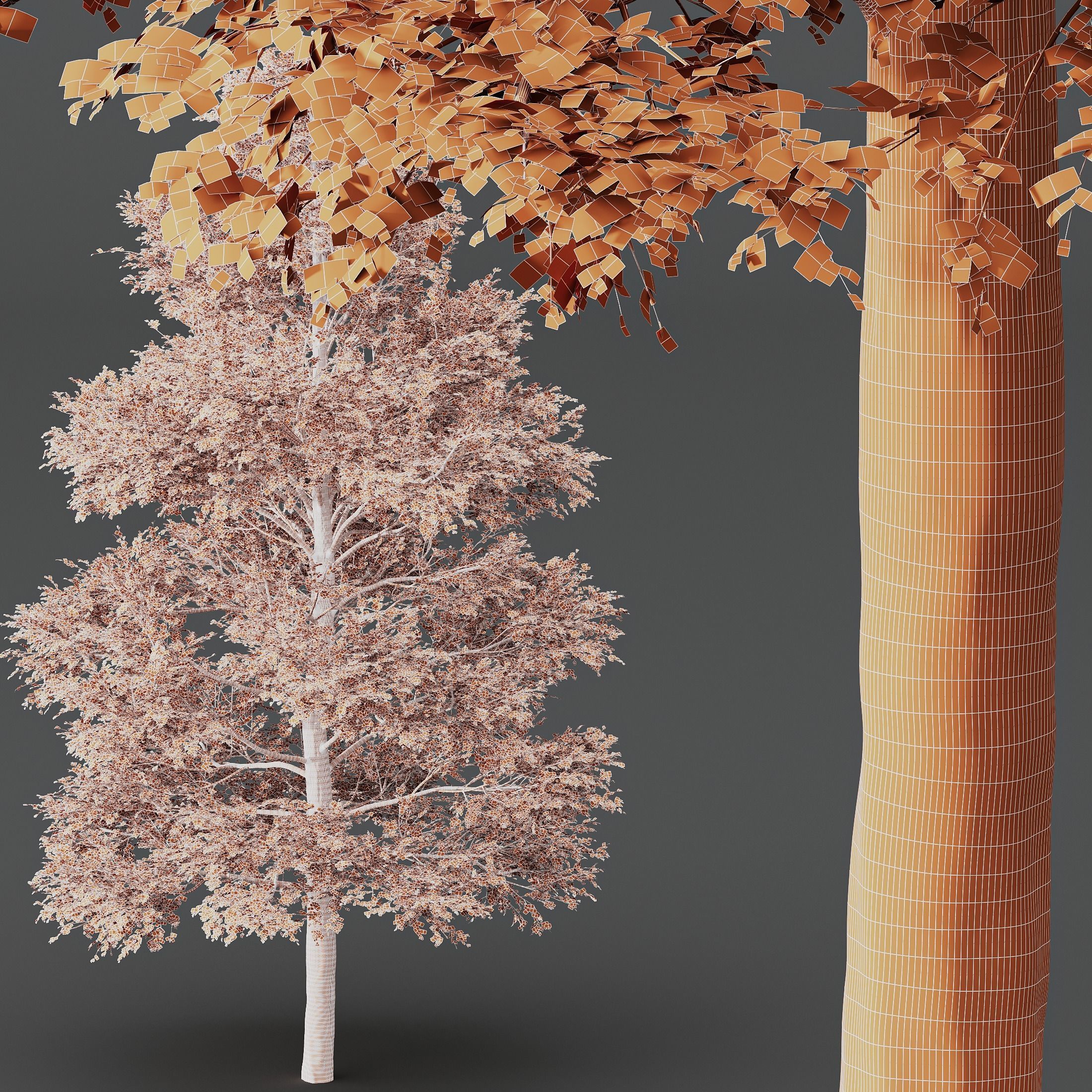 HQ Plants Oak Tree 3D model_2