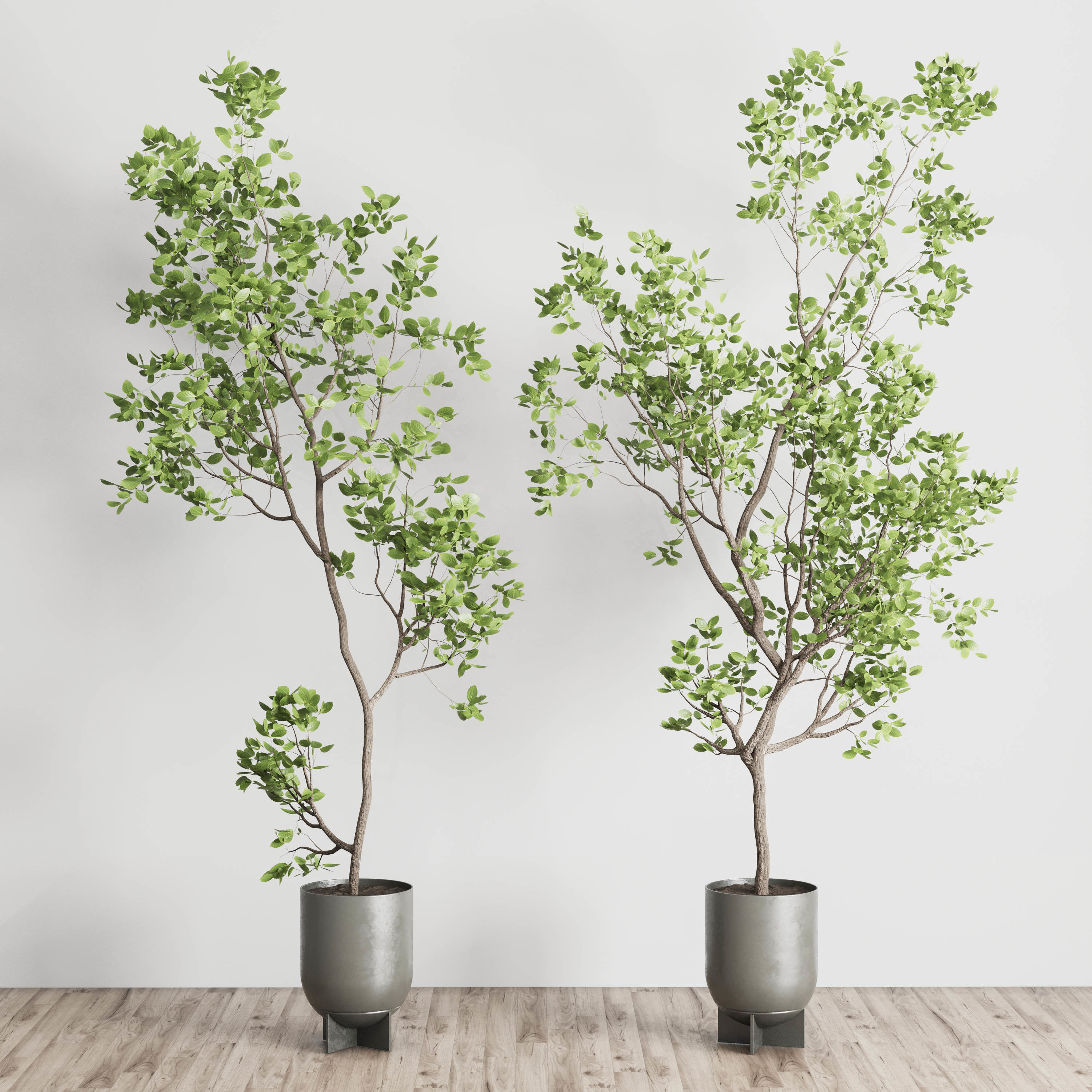 indoor plant set 397 pot tree in a concrete dirt vase Low-poly 3D model_3