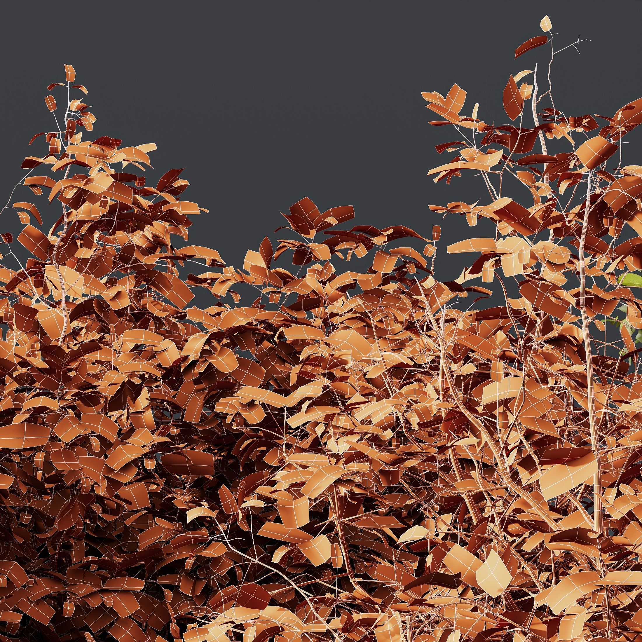 HQ Plants Cornus sanguinea 3D model_4