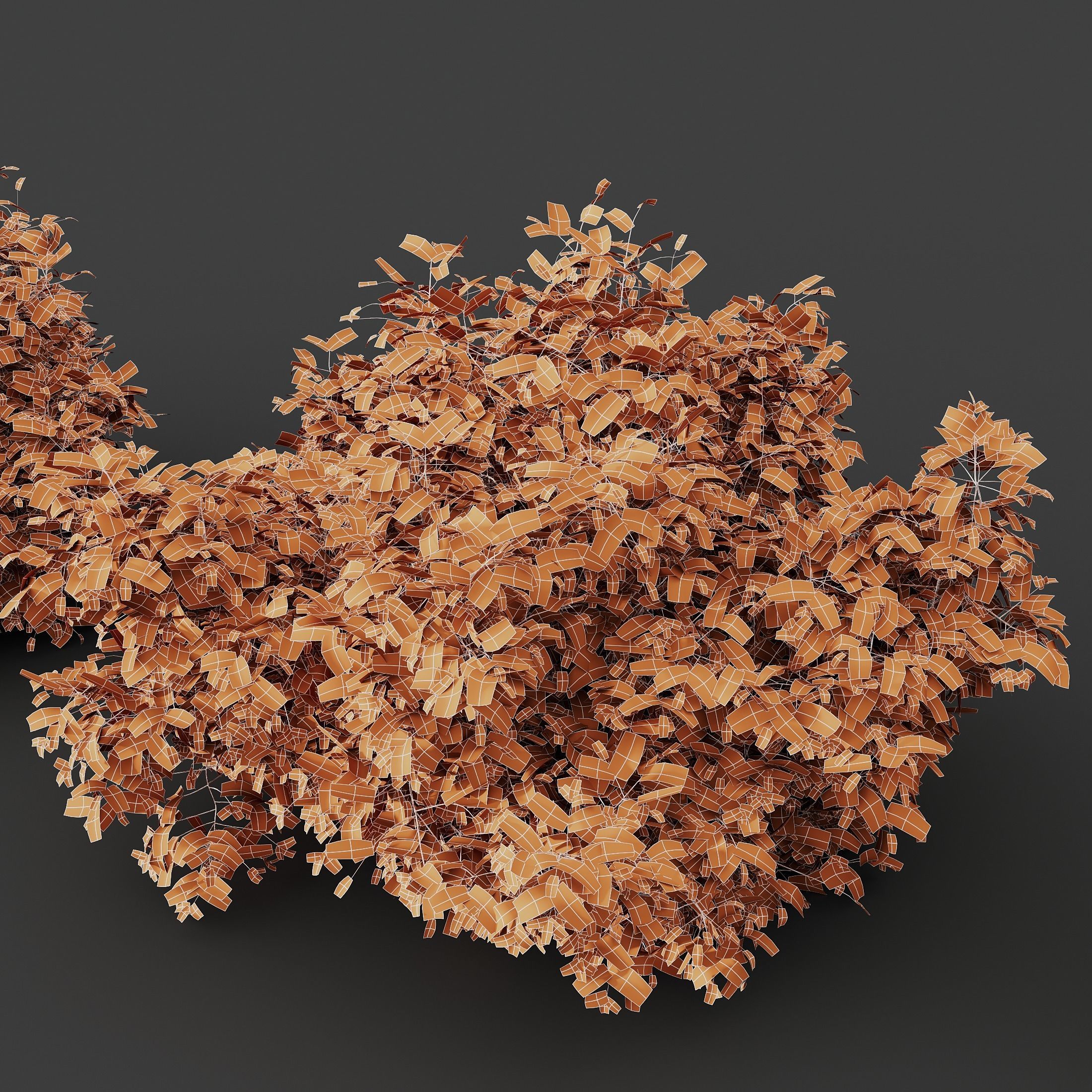 HQ Plants Cotinus coggygria 3D model_4
