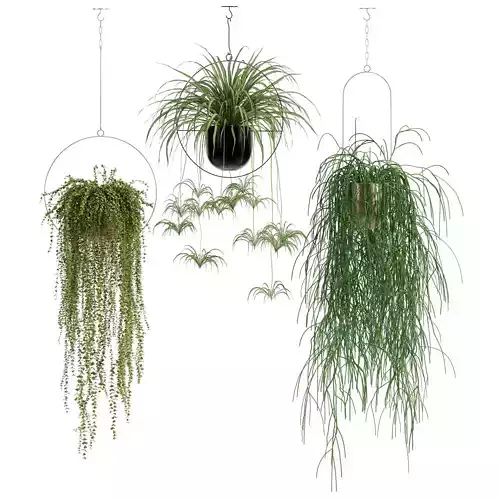 Plant In Hanging Pots set 11