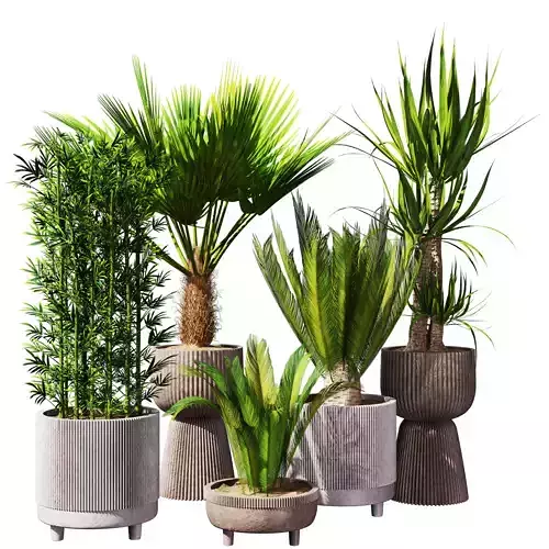 plant Indoor plant set 26