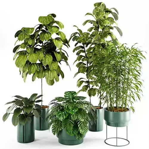  plant Indoor plant set 26