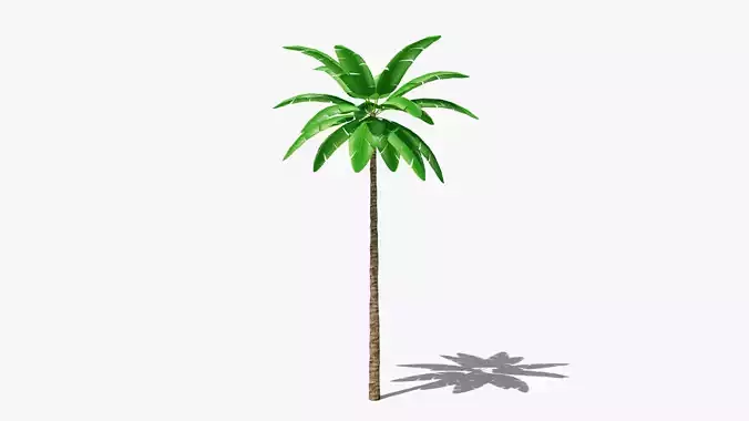 Stylized Palm v1