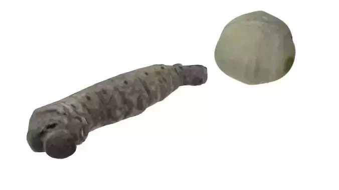Silkworm With Cocoon 3D model
