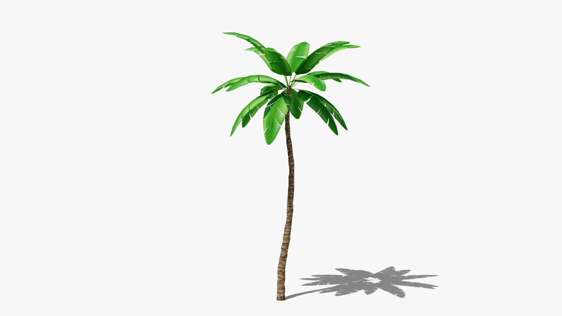 Stylized Palm v4 Low-poly 3D model_4