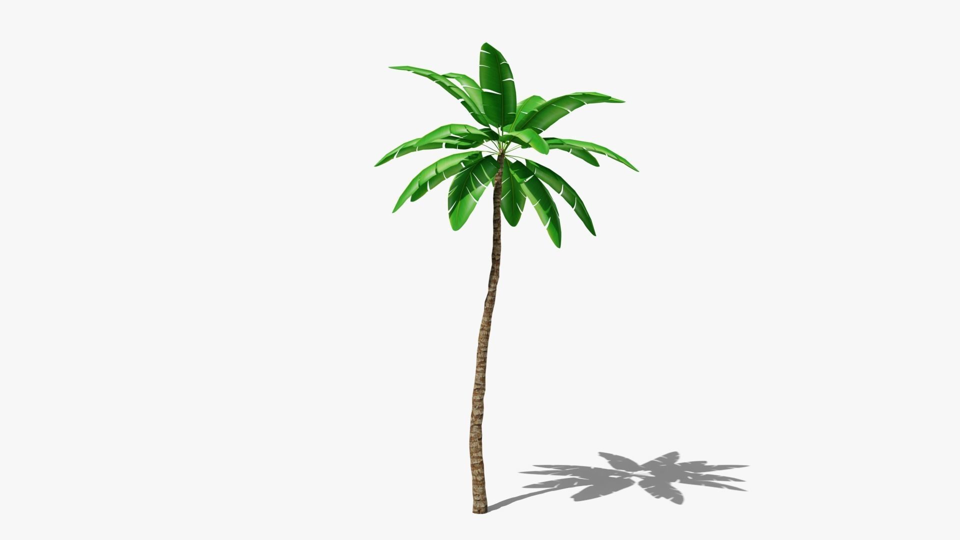 Stylized Palm v4 Low-poly 3D model_5