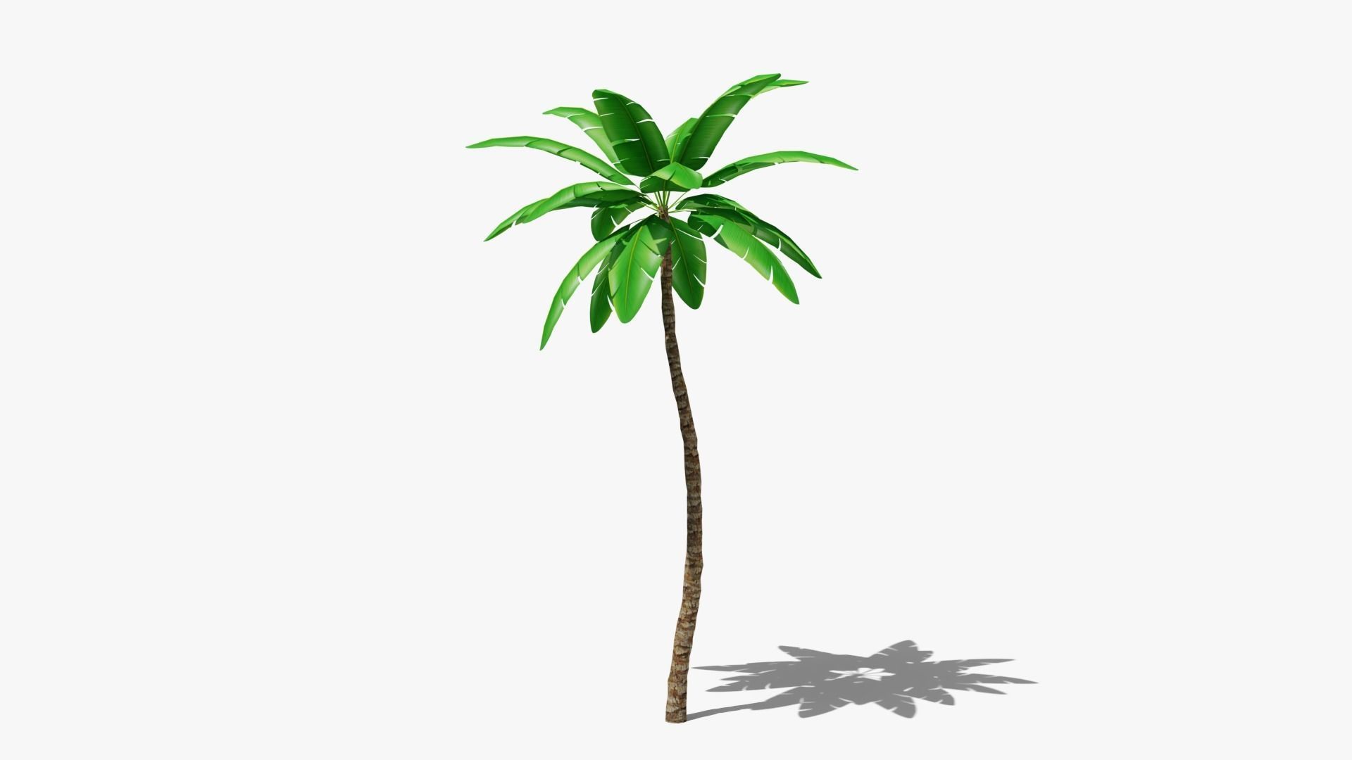 Stylized Palm v4 Low-poly 3D model_3