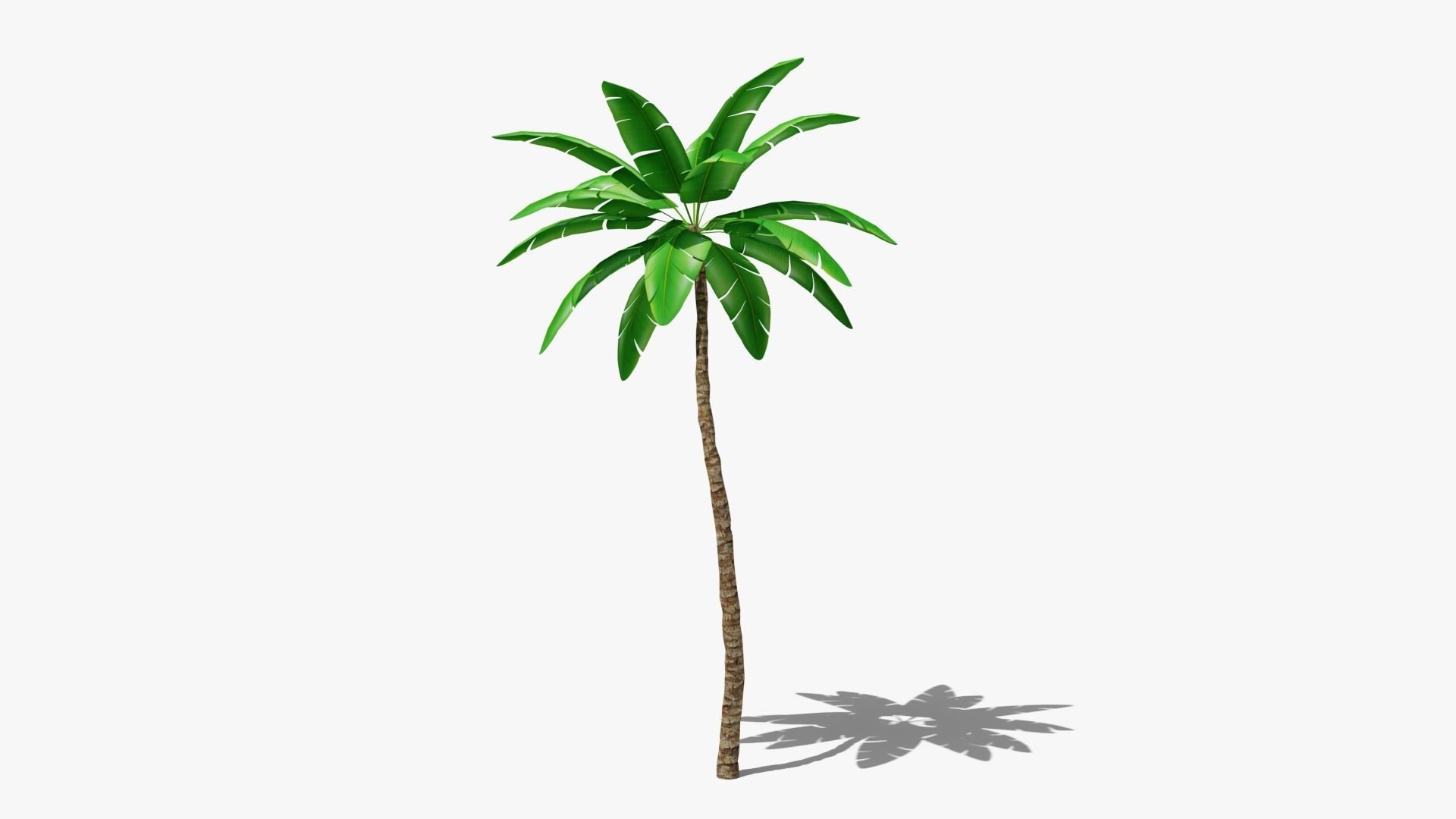 Stylized Palm v4 Low-poly 3D model_2