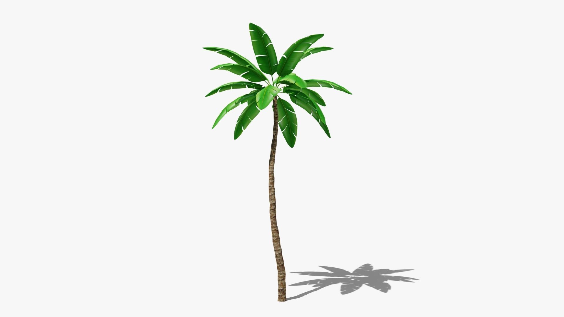 Stylized Palm v4 Low-poly 3D model_1
