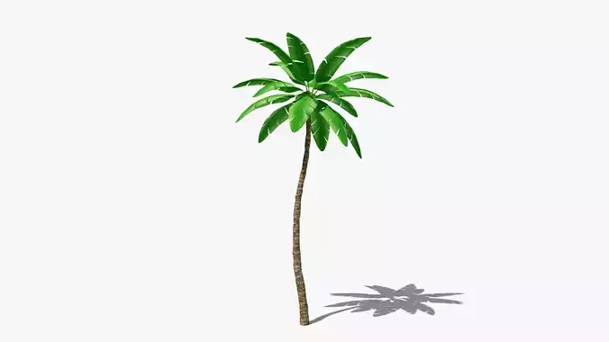 Stylized Palm v4