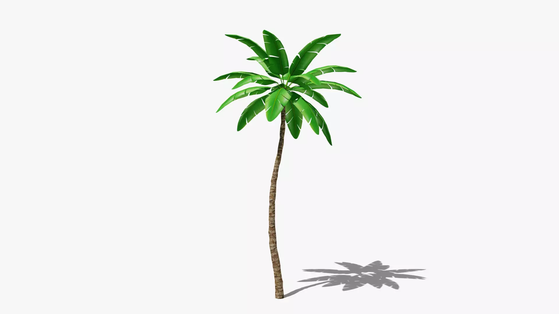 Stylized Palm v4 Low-poly 3D model_0