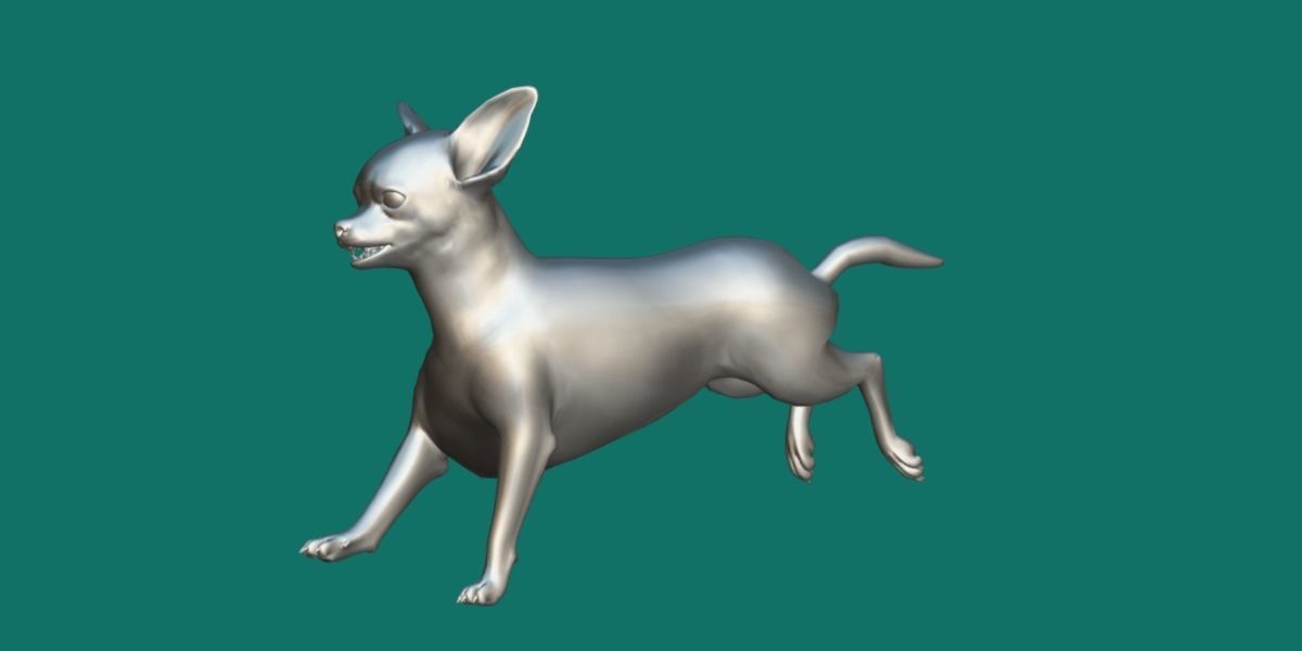 Chihuahua Game Ready 3D model_7