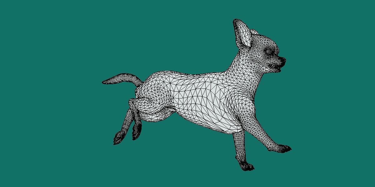 Chihuahua Game Ready 3D model_9
