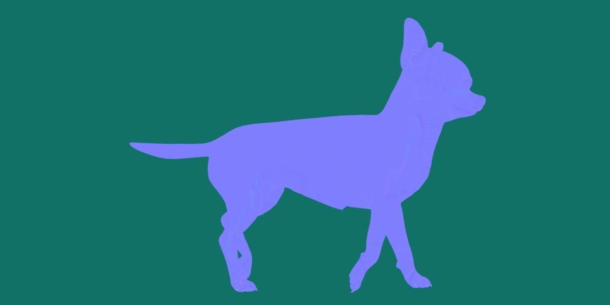 Chihuahua Game Ready 3D model_5