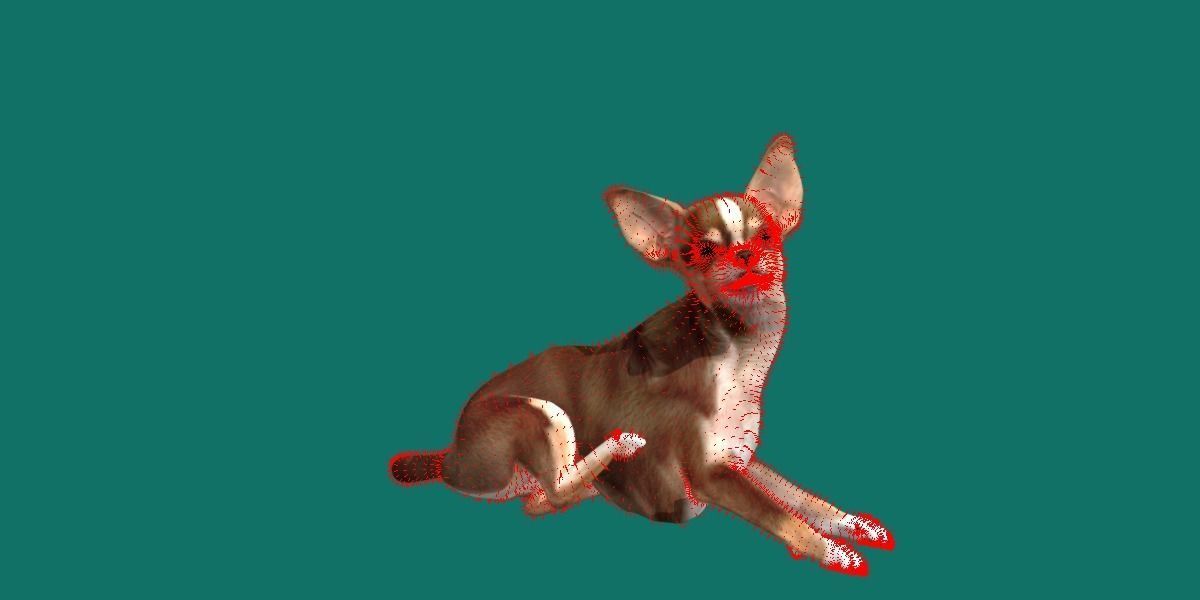 Chihuahua Game Ready 3D model_10