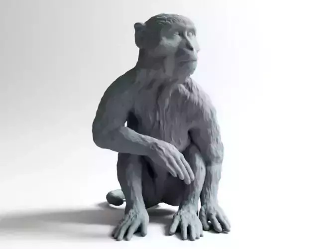 Long Tailed Monkey 3D print model