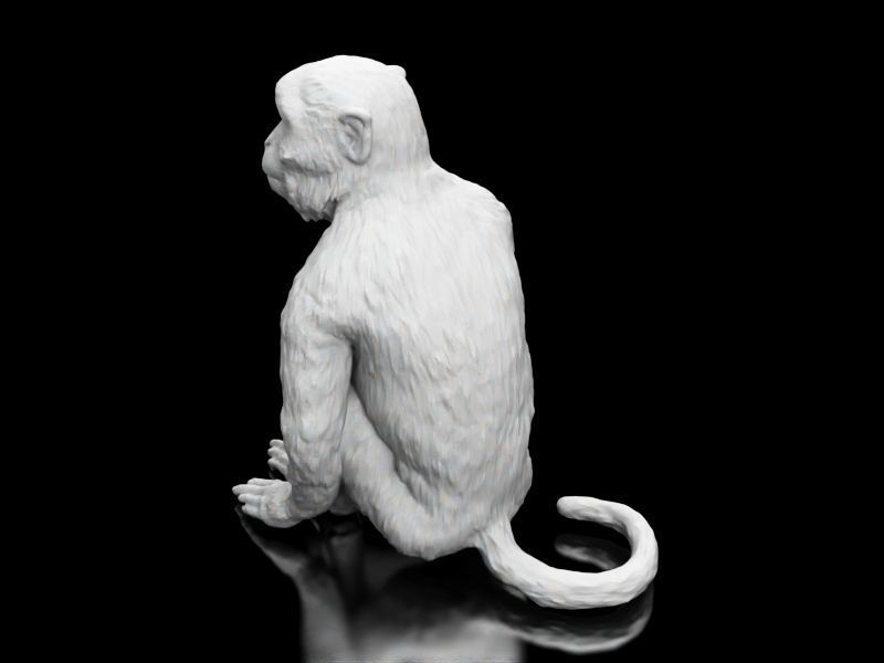 Long Tailed Monkey 3D print model_5
