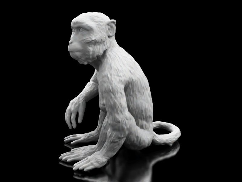 Long Tailed Monkey 3D print model_4