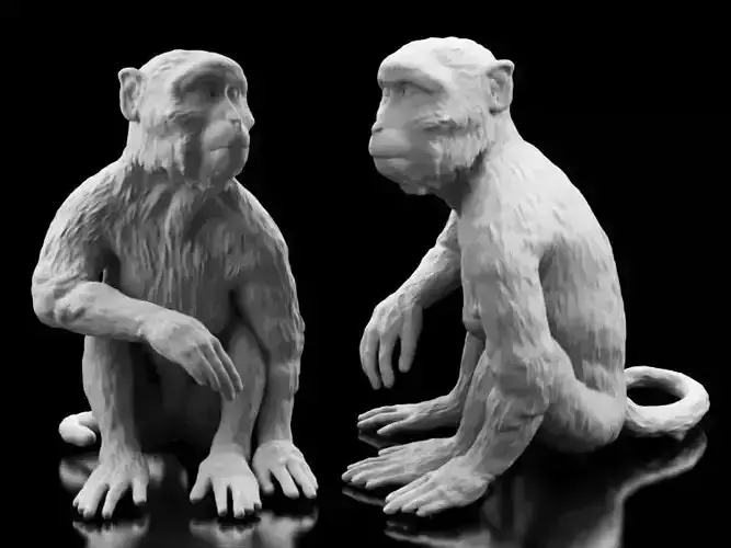 Long Tailed Monkey 3D print model