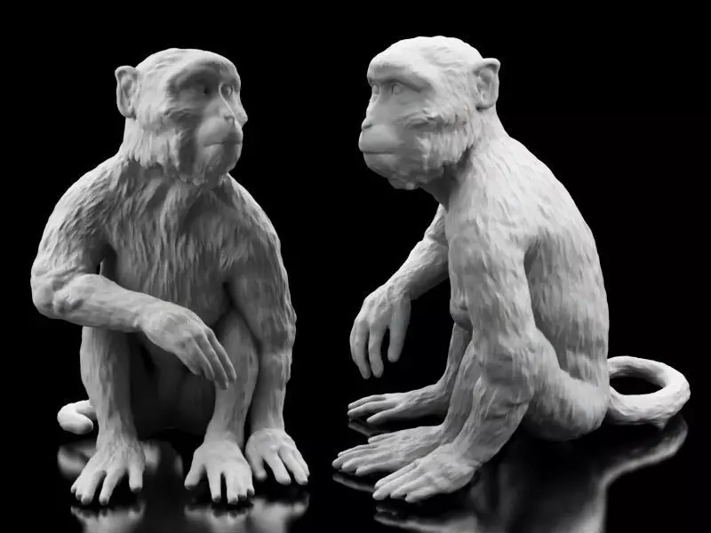 Long Tailed Monkey 3D print model_0