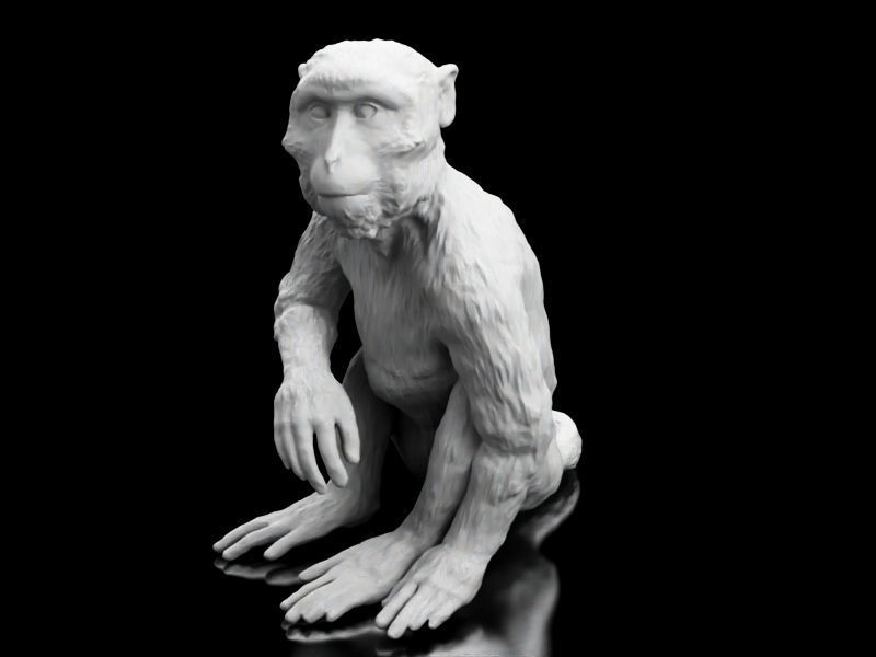 Long Tailed Monkey 3D print model_3