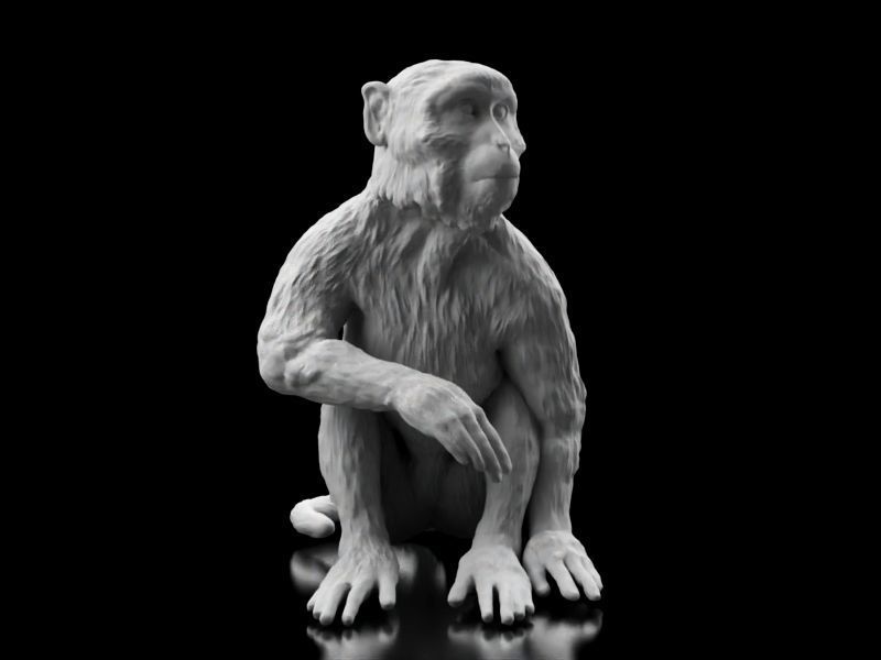 Long Tailed Monkey 3D print model_1