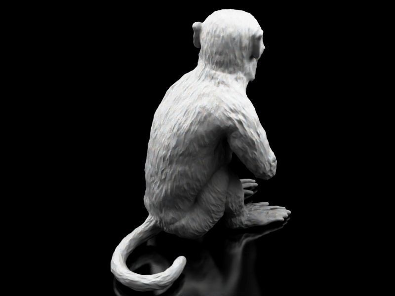 Long Tailed Monkey 3D print model_6