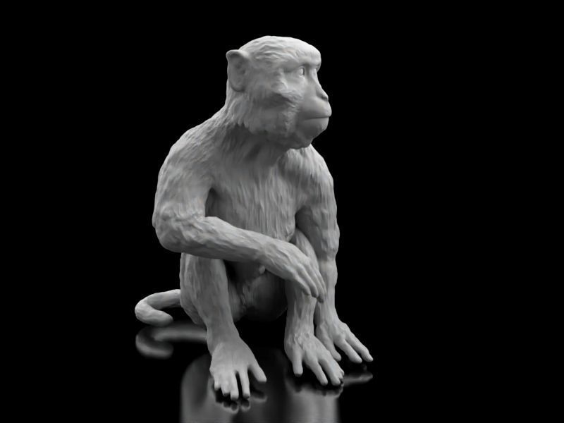 Long Tailed Monkey 3D print model_8