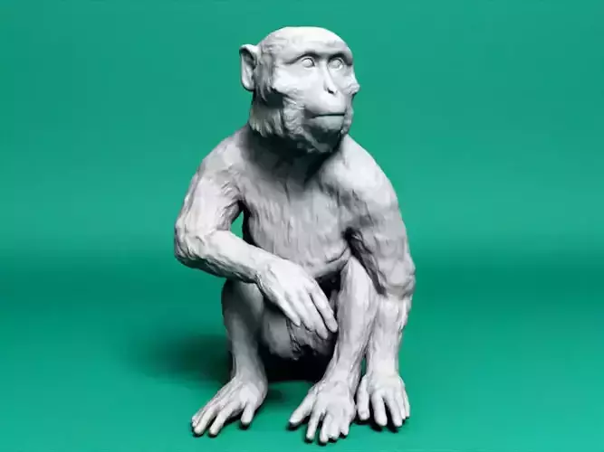 Long Tailed Monkey  3D print model