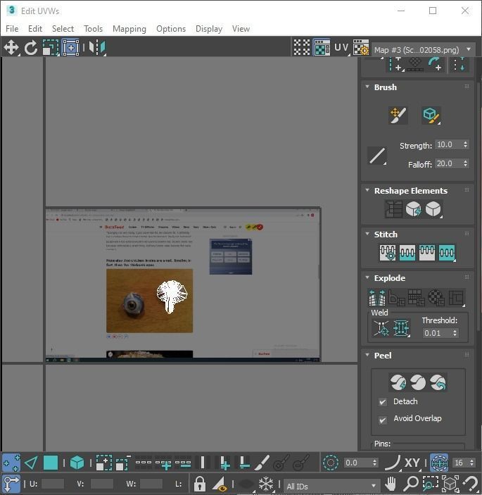 Chicken Brain 3D model_21