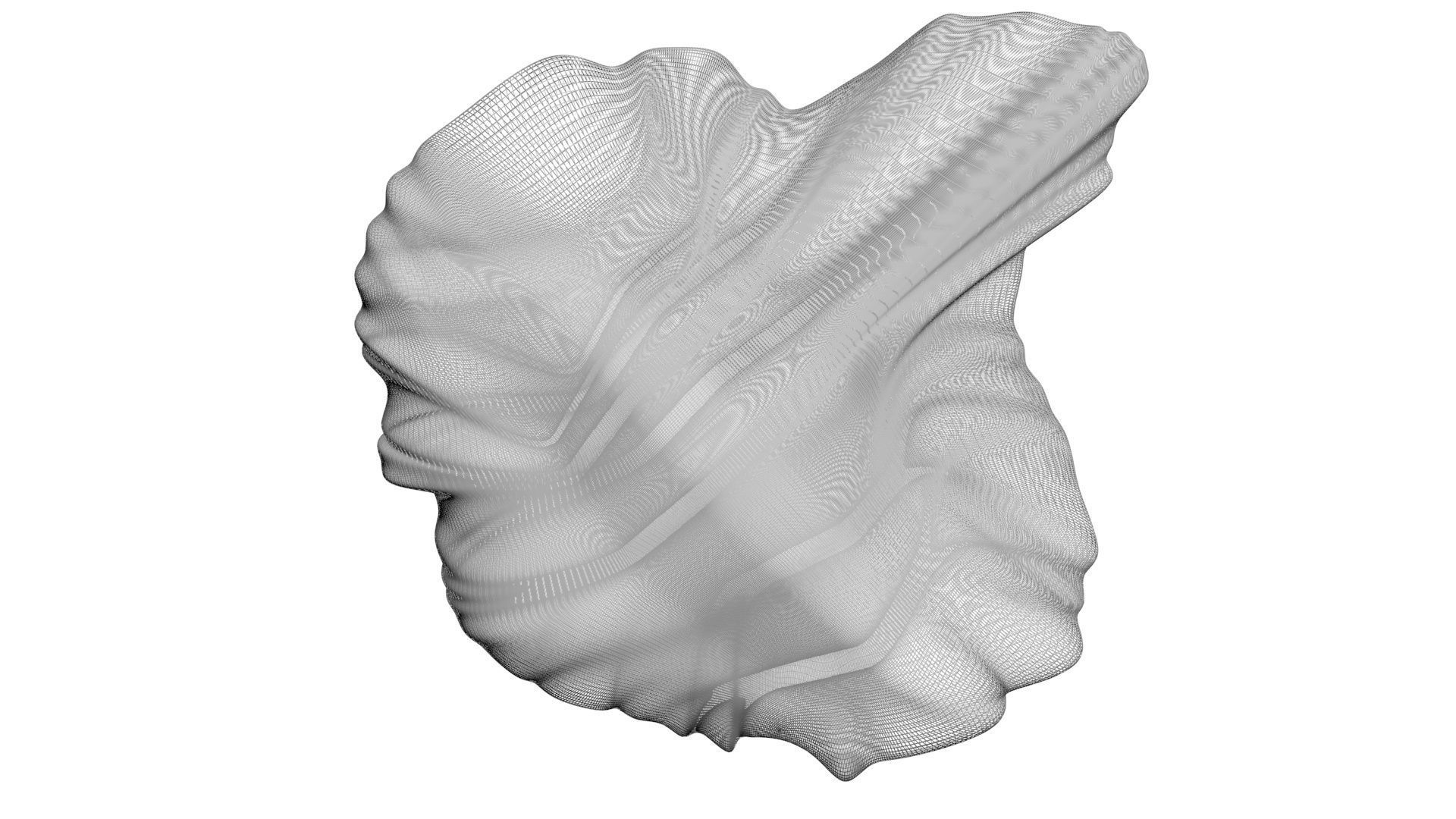 Chicken Brain 3D model_17