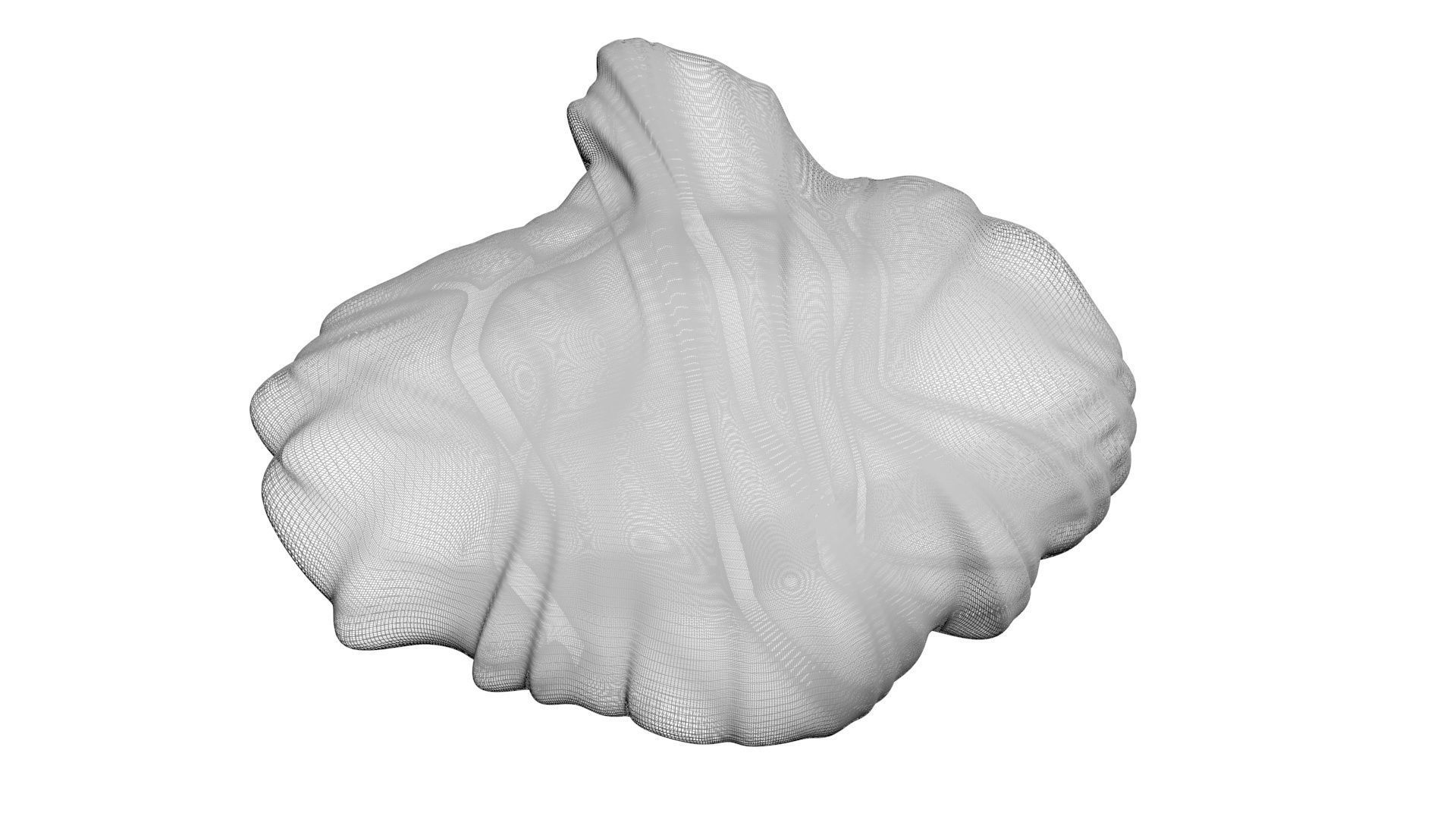 Chicken Brain 3D model_15