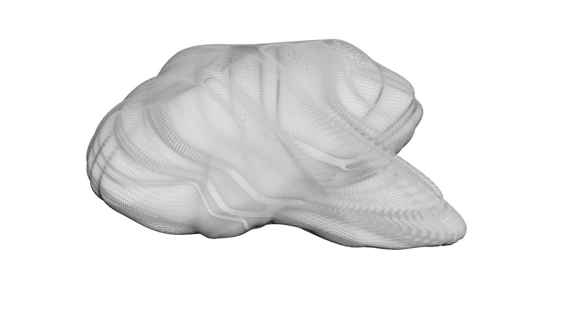 Chicken Brain 3D model_13