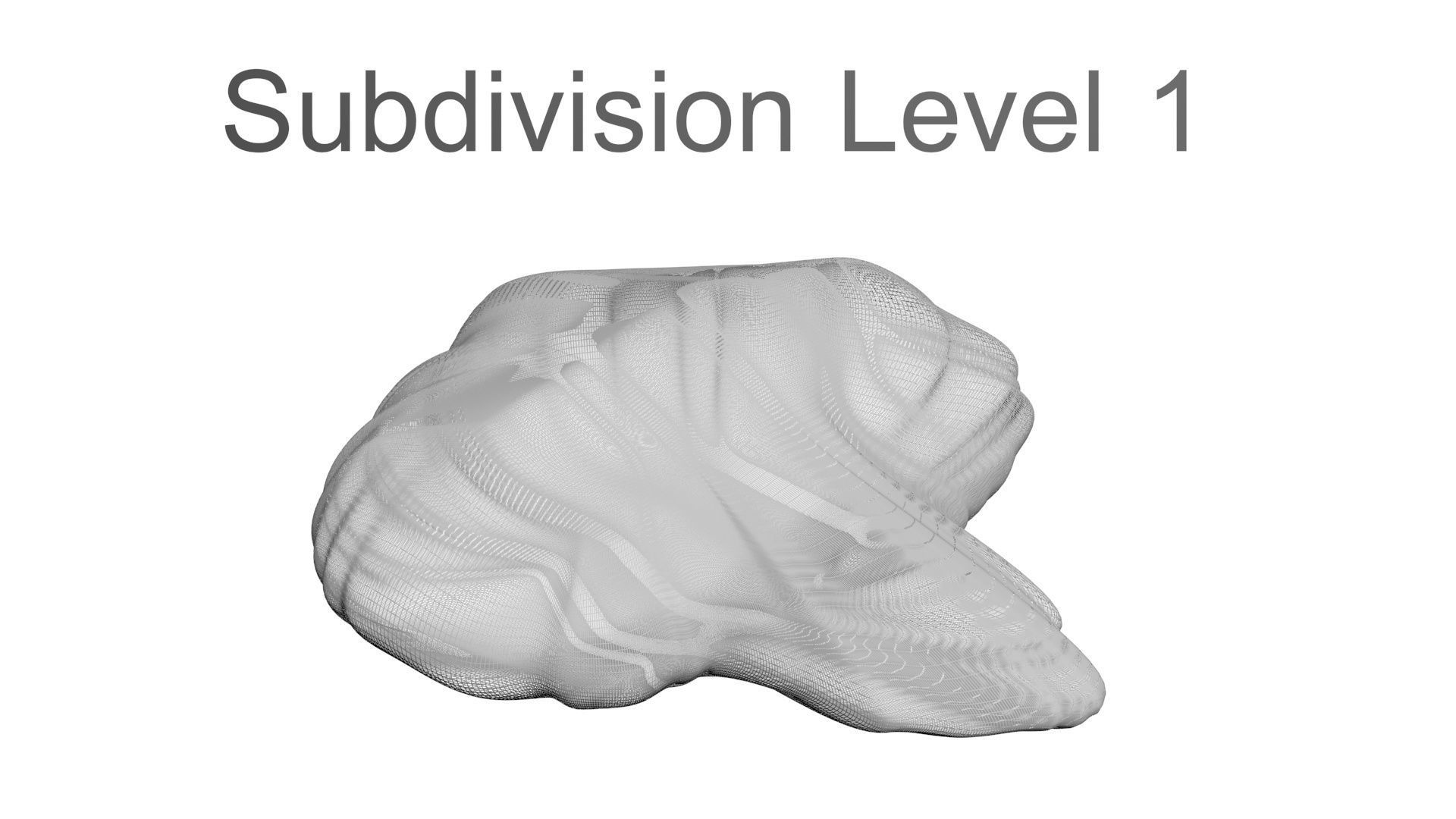 Chicken Brain 3D model_19