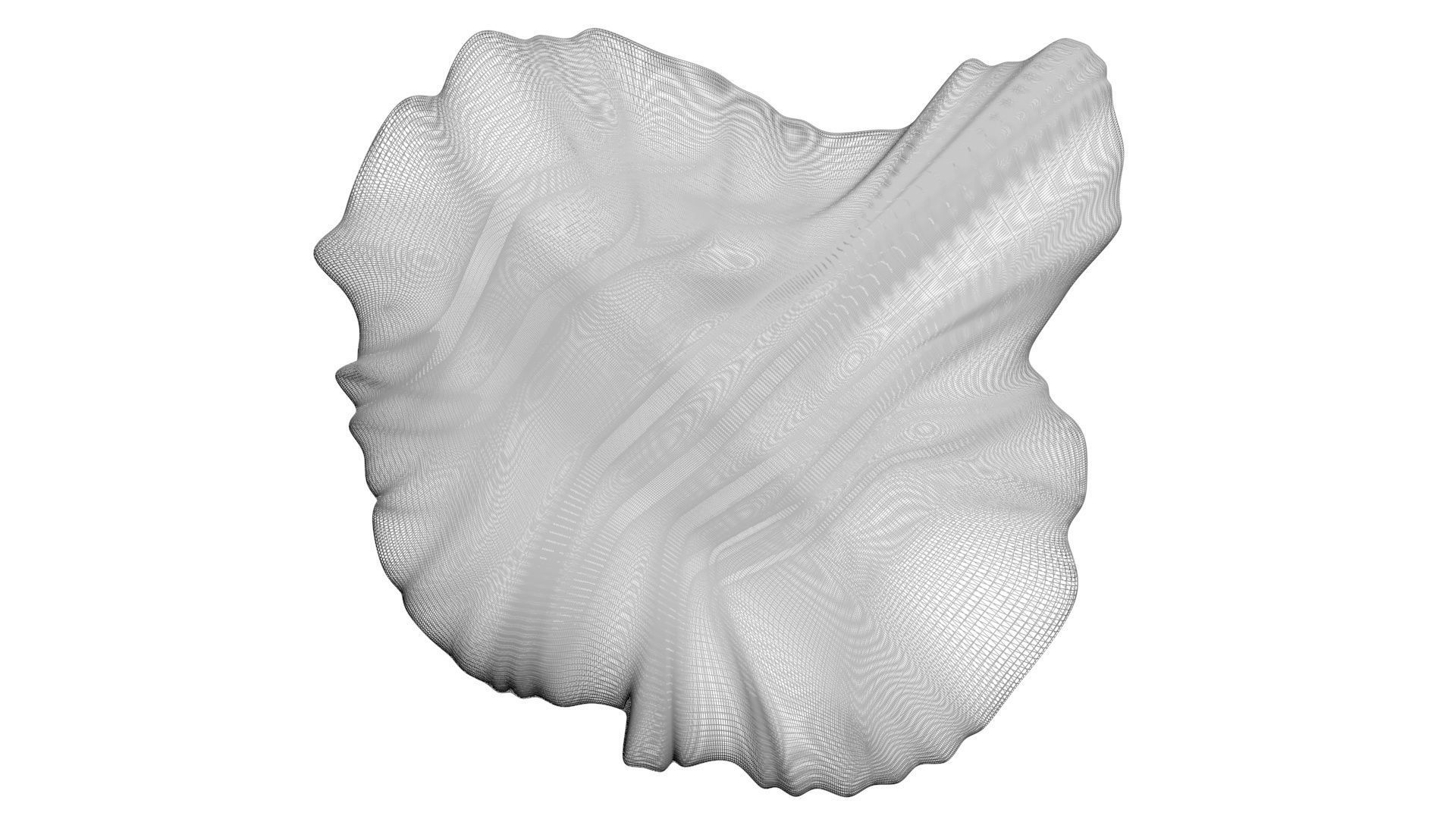 Chicken Brain 3D model_16