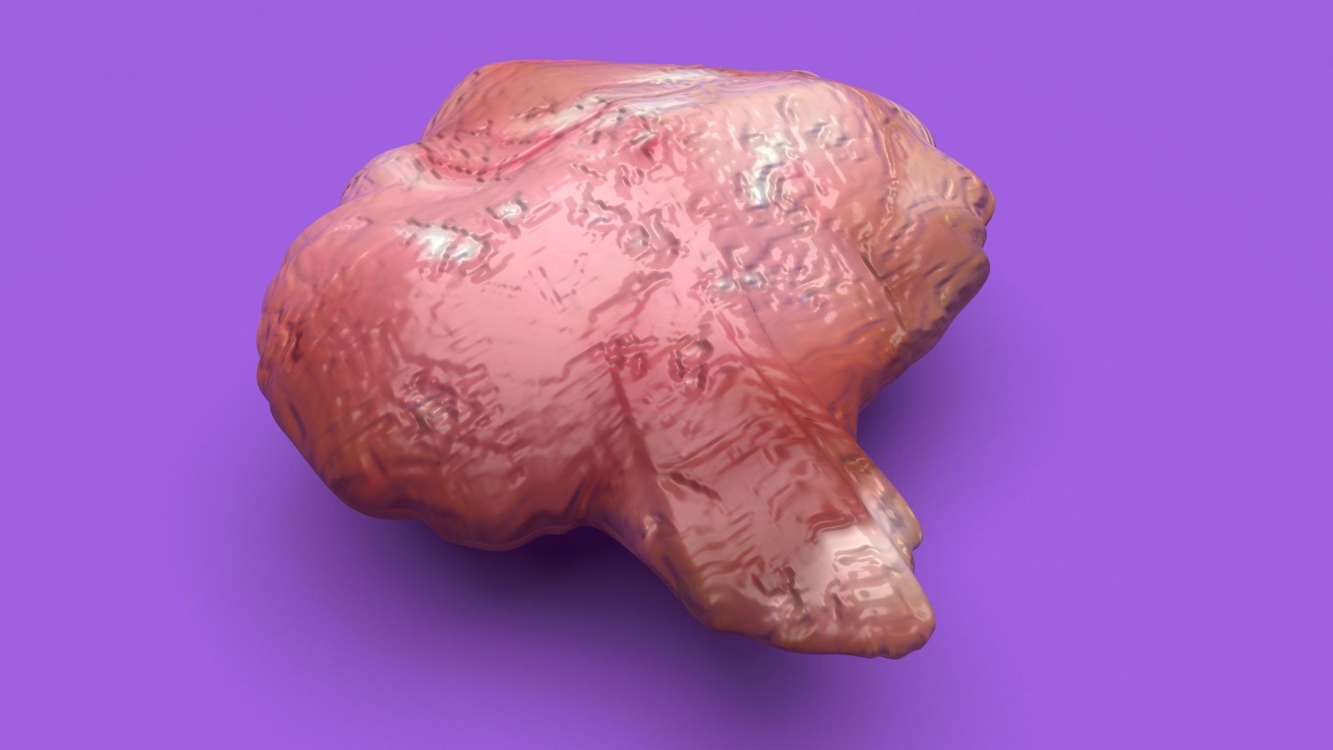 Chicken Brain 3D model_5