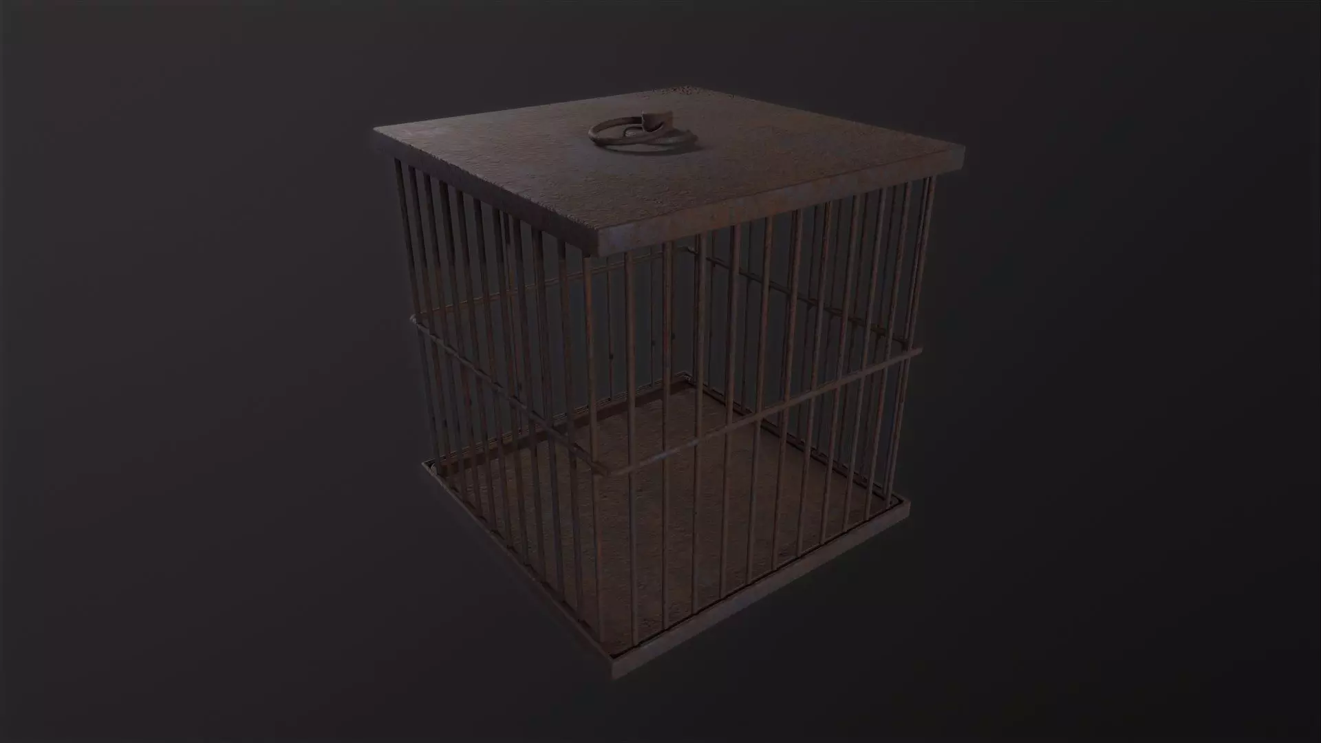 Cage 3D Model Low-poly 3D model