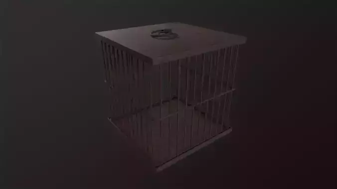 Cage 3D Model  Low-poly 3D model