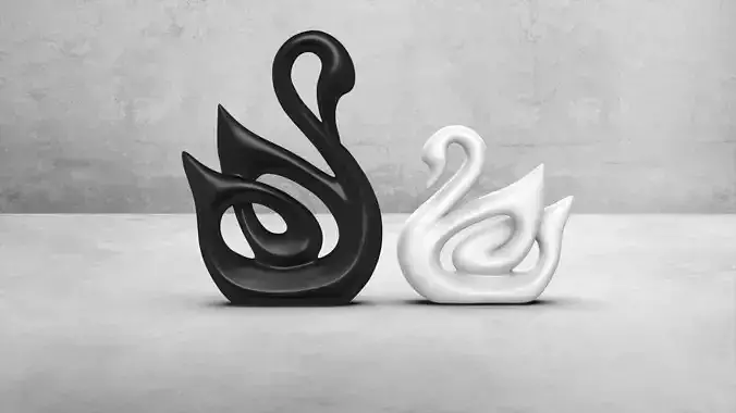 BLACK AND WITHE SWAN