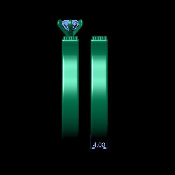 Ring TE0060 3D print model_7