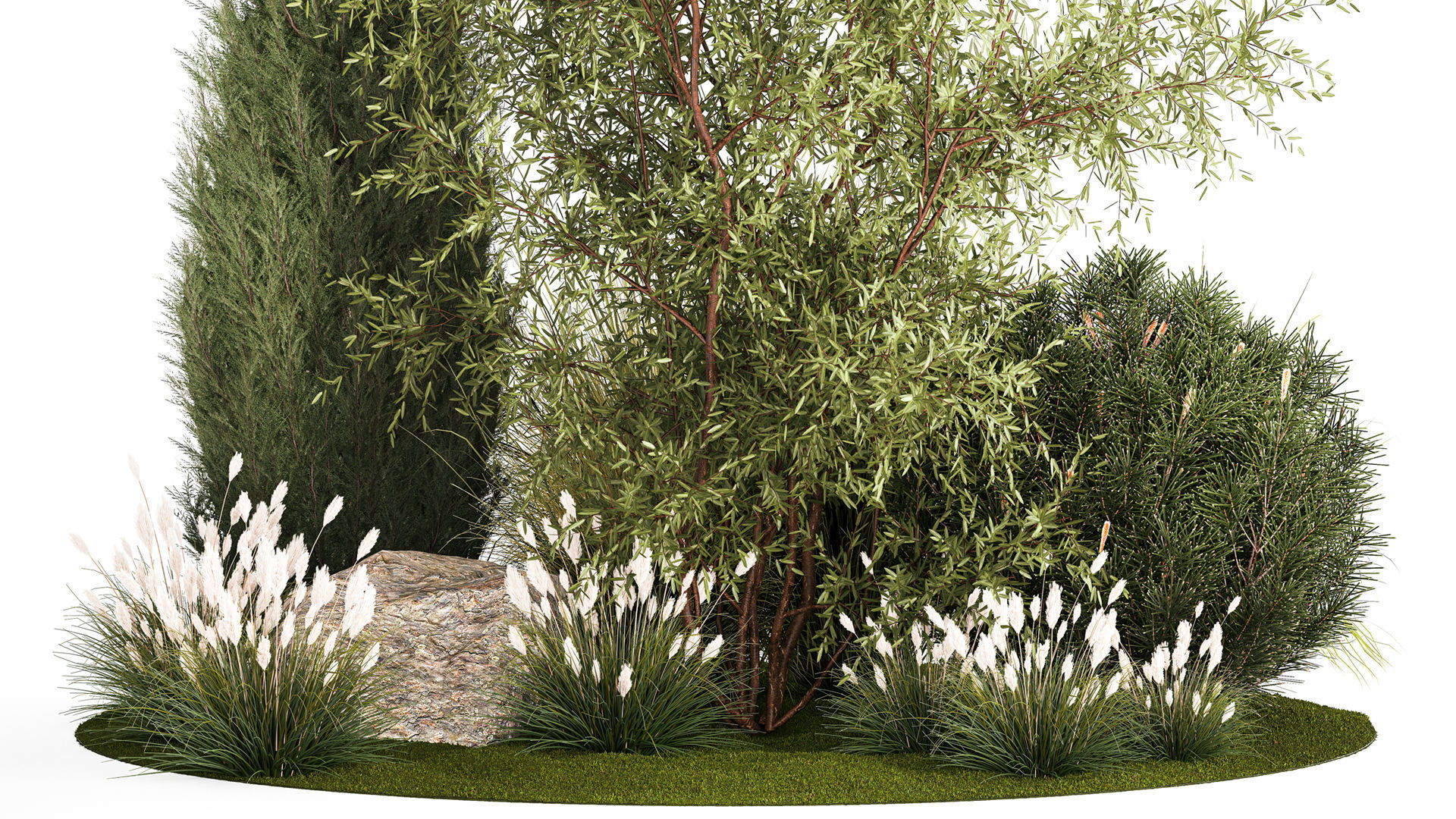 Beautiful plants for the garden of thuja pine bonsai bushes  3D model_2