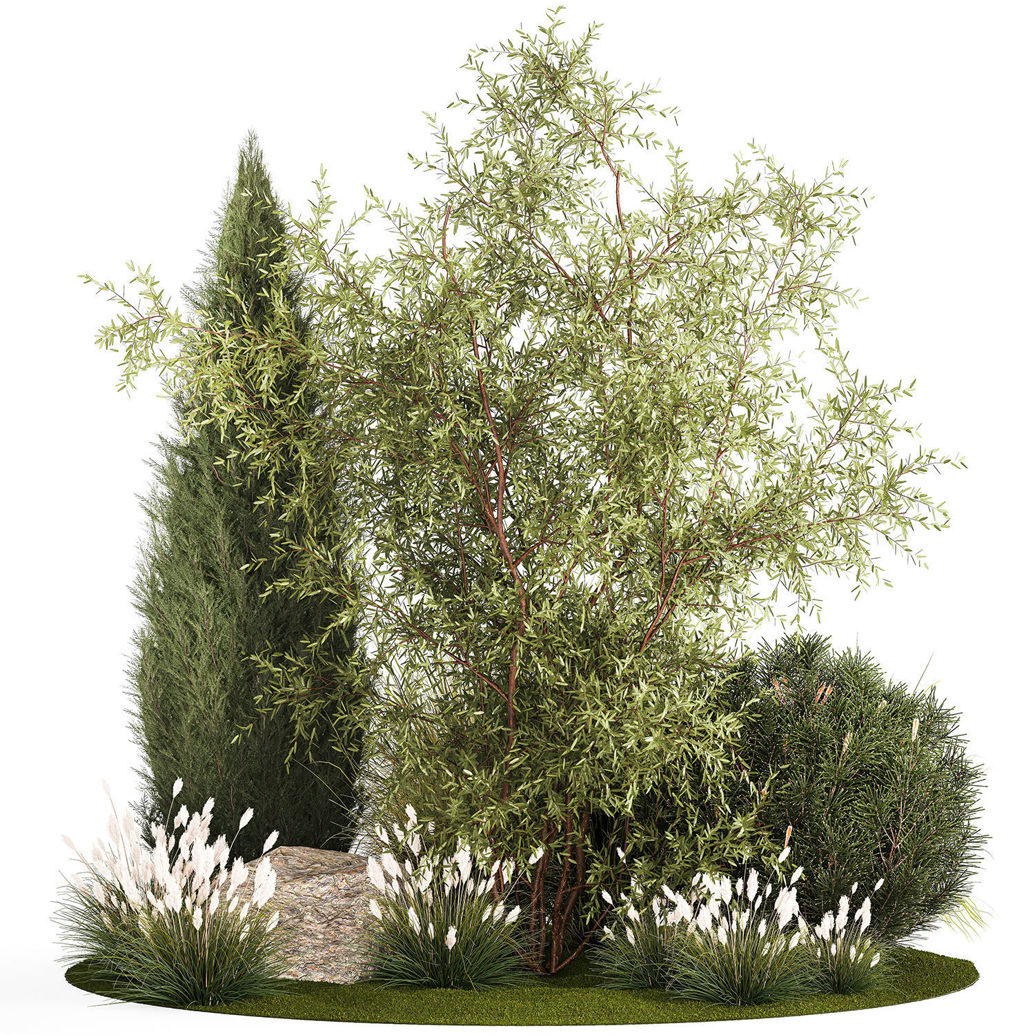 Beautiful plants for the garden of thuja pine bonsai bushes  3D model_8